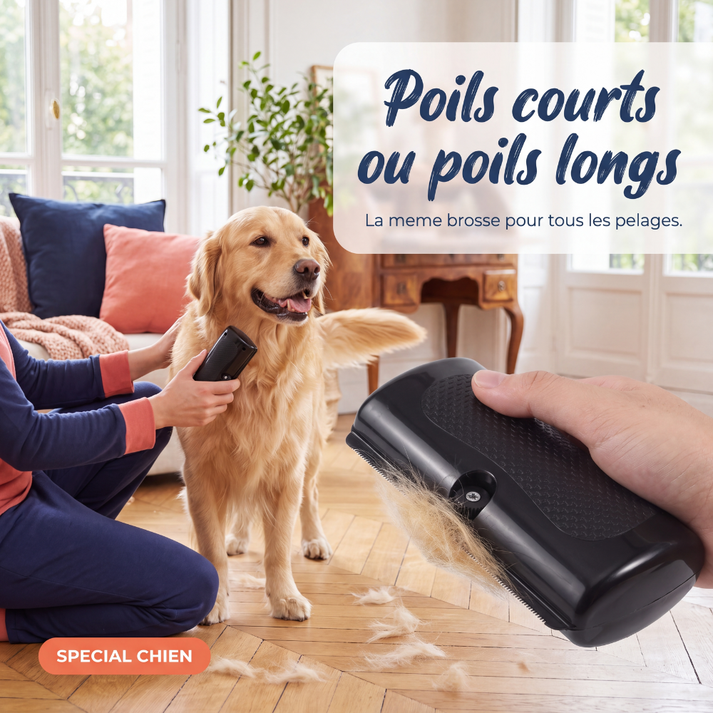Brosse démêlante anti-poils spécial mue