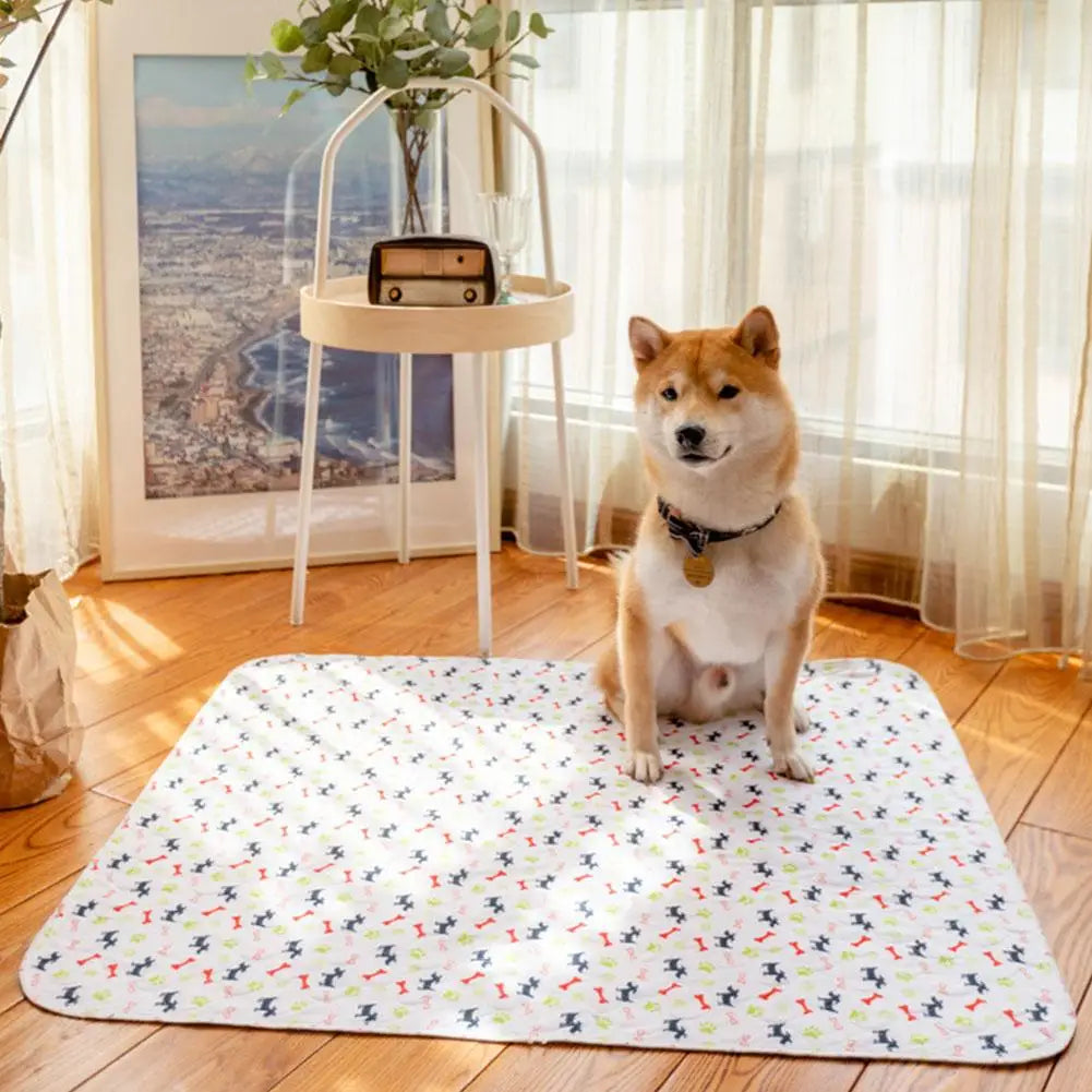 Tapis Éducateur Réutilisable