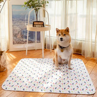 Tapis Éducateur Réutilisable