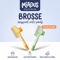 Brosse Massante Anti-Poils