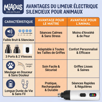 Limeur électrique silencieux